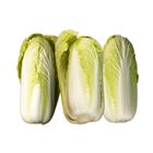 Small Chinese Cabbage 300G - 2286187000004