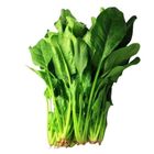 Spinach - 2286292000005 0.5kg