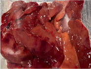 Chicken Liver 0.4kg