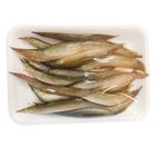 Eyespot Spiny Eel 250g - 2271508000009