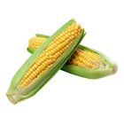 Yellow Corn 2 Pieces - 2286608000002