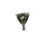 1661300114| Coriander 1 Packet