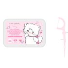 MINISO MIKKO Collection Fruity Dental Flossers (Sakura Peach Flavor) 1 Piece