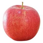 1661100081| Fuji Apple (S) 1 Piece