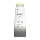 Dove Dandruff Care Shampoo 330ml