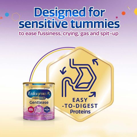 Enfagrow A+ Gentlease (1-3 Years) 800g