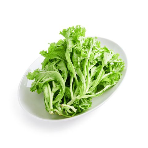 brightfarms Green Coral 150g