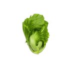 brightfarms Mustard Green (Kai Choy) 400g