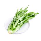 brightfarms Yaw Mak Choy 300g