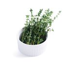 brightfarms Sweet Thyme 15g