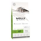 Molly Renal Care Light and Sterilised Salmon Adult 2kg