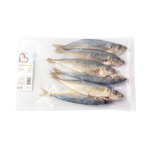 brightfarms Frozen Cleaned and Gutted Sardin 500g