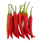Cili Merah/Red Chili (3473)