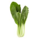Siew Pak Choy (±300g) | 10006370-KG