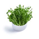 Pea Sprout 250g