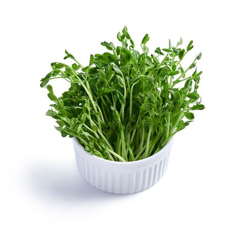 Pea Sprout 250g