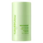 Glad2Glow Mugwort Salicylic Acid Acne Clay Stick 25g - 121120481