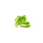 Baby Cabbage Wawacai 200g