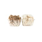 Shimeji Mushroom (Twin Pack) 250g
