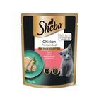 Sheba Cat Wet Food Pouch Kitten Chicken 70g