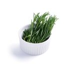 brightfarms Rosemary 15g