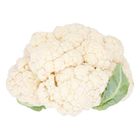 Kobis Bunga Cina/China Cauliflower (3905)