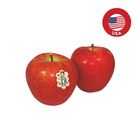 USA SugarBee Apple 6pcs