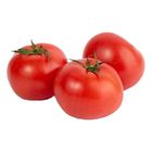 Tomato Pack 2kg