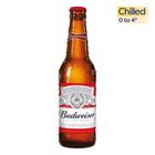 [Chilled] Budweiser Beer Pint (Alcohol) 355ml
