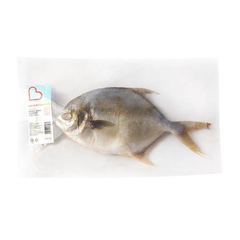 brightfarms Frozen Cleaned and Gutted Bawal Emas 400g