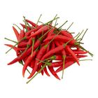 Cili Padi Merah (3134)
