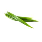brightfarms Daun Pandan 100g