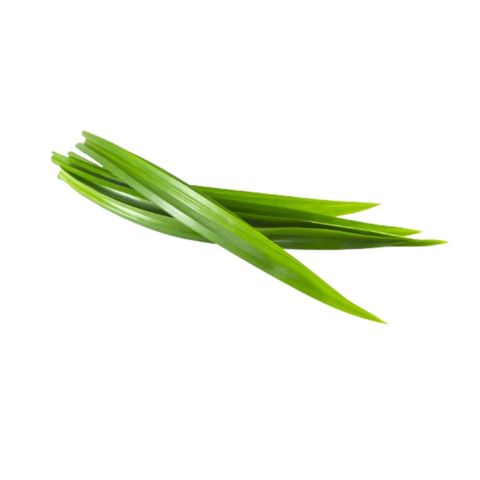 brightfarms Daun Pandan 100g