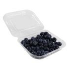 Blueberry (1 Pack) | 10037250-EA