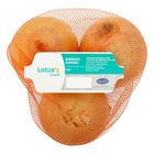 Lotus's Fresh Bawang Kuning 500g