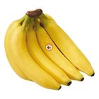 Pisang Cavendish - 4990