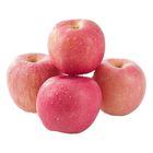 Red Fuji Apples L 6 Pieces