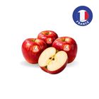 France Candine Apple 8pcs