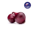 Australia Red Onion 500g