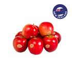 NZ Premier Star Apple 8pcs