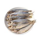 brightfarms Frozen Cleaned and Gutted Sardin 500g