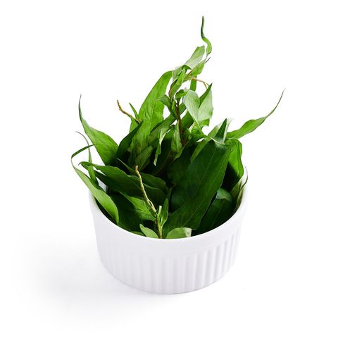 Daun Kesum 50g