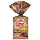Gardenia Toast'em Choco Raisin (340g) | 10127019001-EA