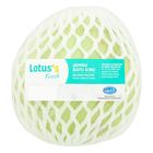 Lotus's Jambu Batu King 1 Piece