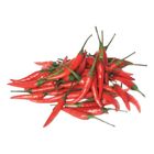 Thai Red Chili Padi 100G.