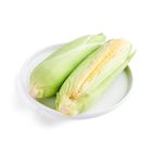 brightfarms Sweet Corn 2 Pieces