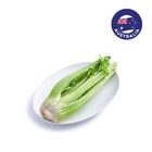 Celery Australia 800g - 1kg
