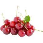 Cherry (1 Pack) | 10038205-EA