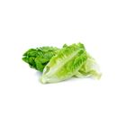 brightfarms Baby Romaine Lettuce 250g