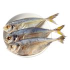 brightfarms Frozen Cleaned and Gutted Selar 500g